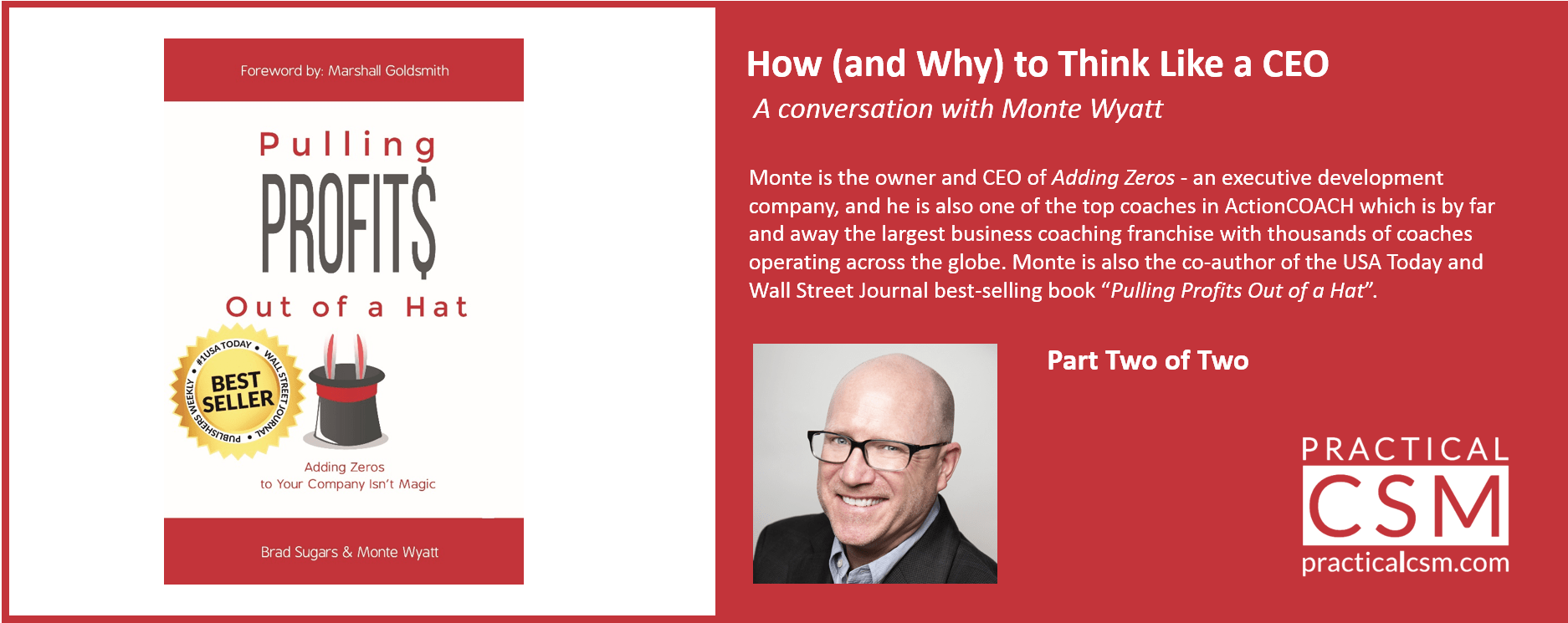 Practical CSM how and Why to think Like a CEO with Monte Wyatt part 2