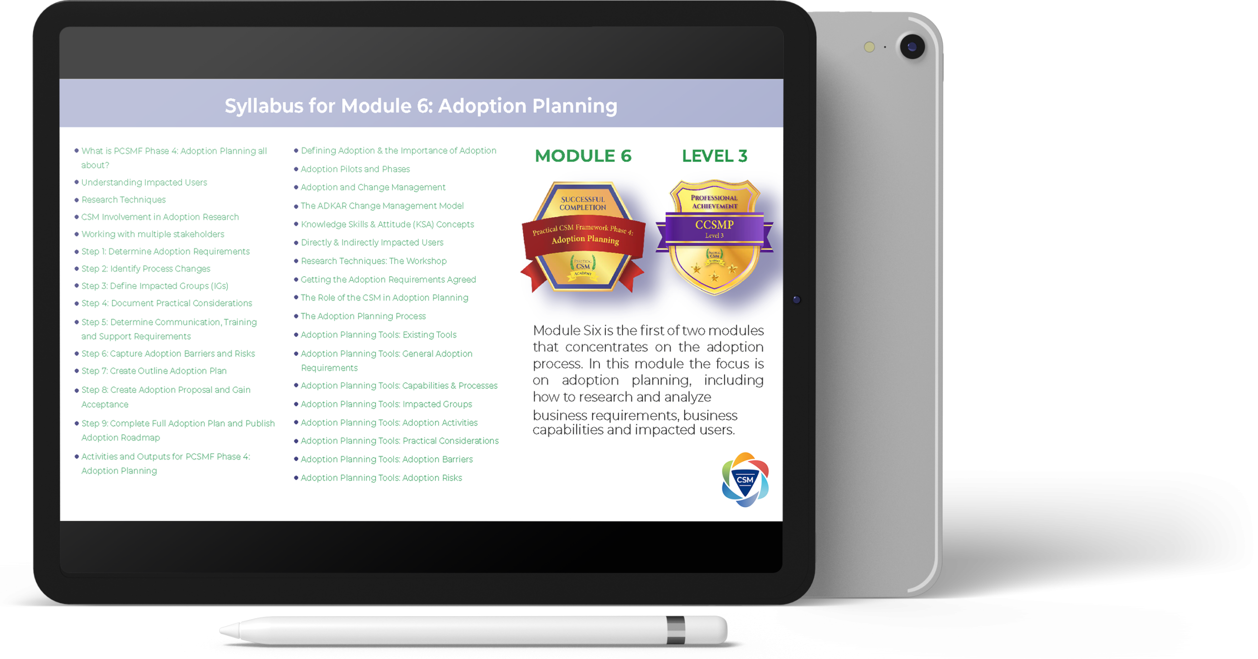 Practical CSM Syllabus for Modules 6: Adoption Planning