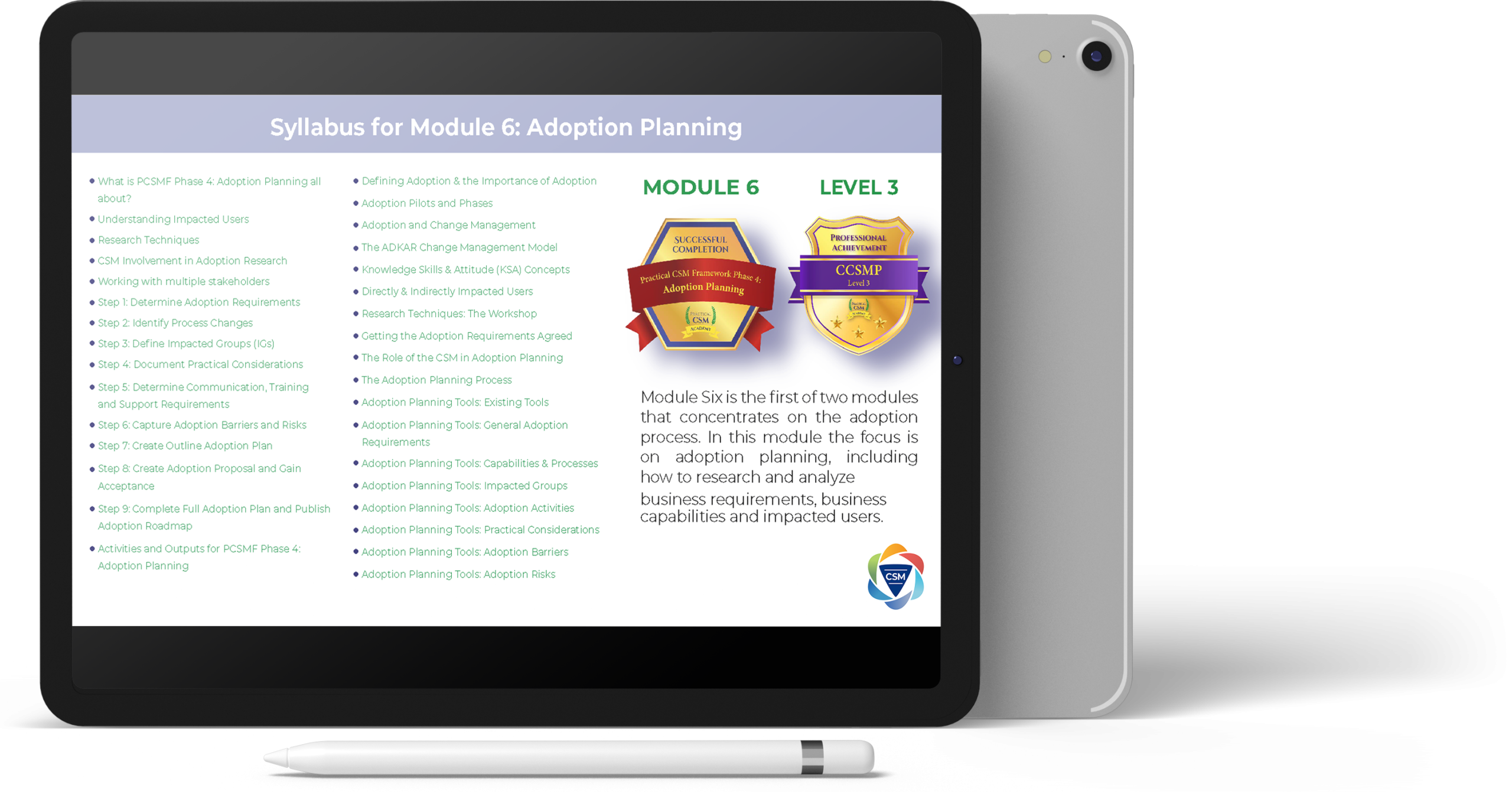 Practical CSM Syllabus for Modules 6: Adoption Planning