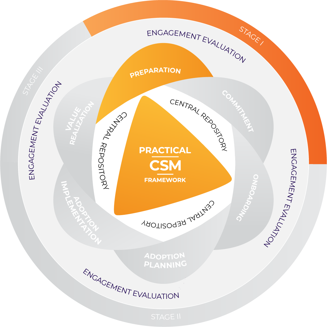 Practical CSM Framework Stage 1 Preparation