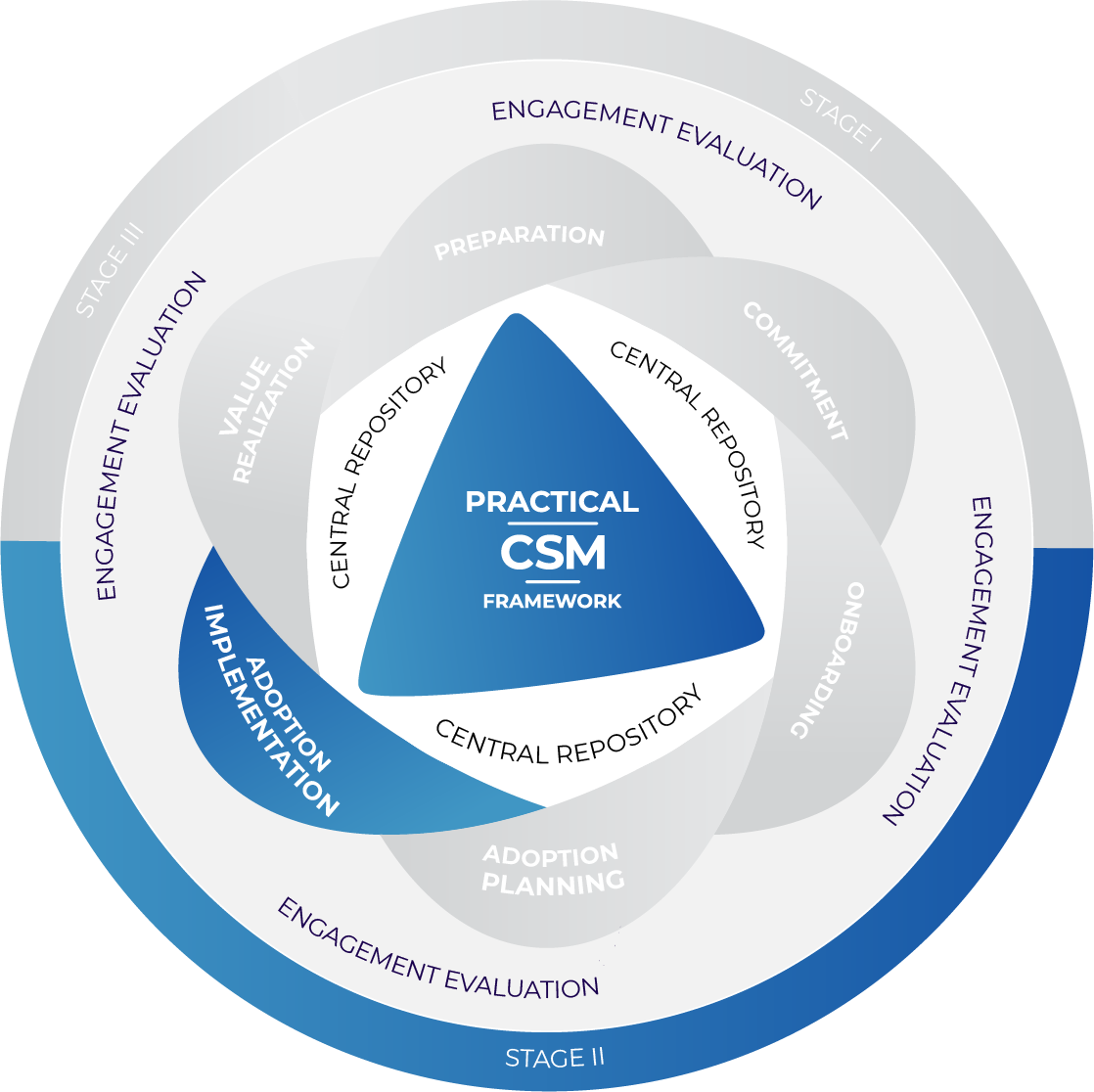 Practical CSM Framework Stage 2 Adoption Implementation