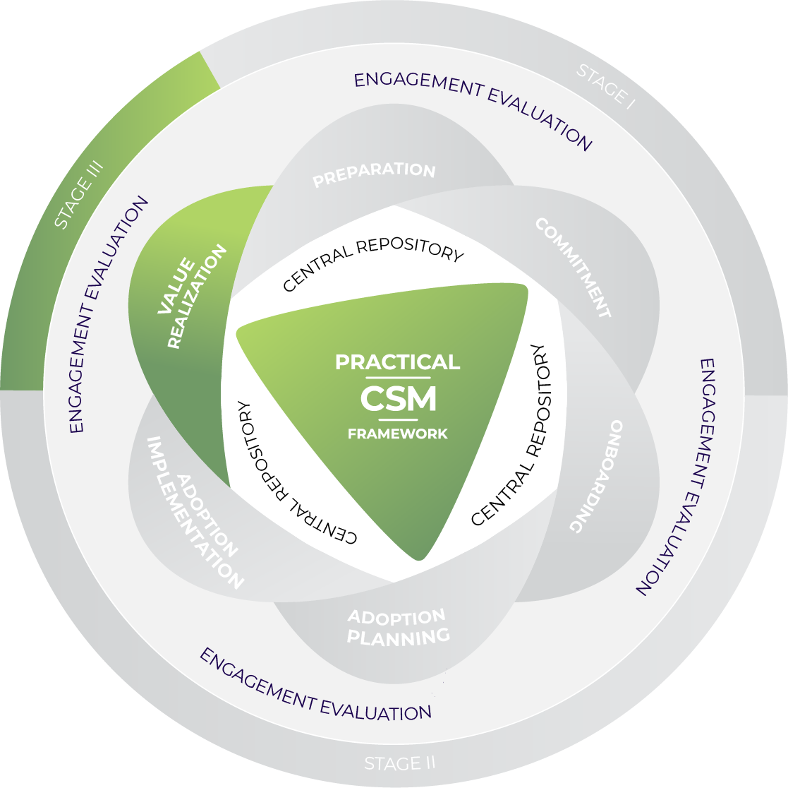 Practical CSM Framework Stage 3 Value Realization