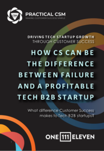 Cover: How CS Can Be the Difference Between Failure and a Profitable Tech B2B Startup